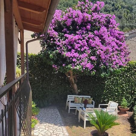 La Bouganville E Il Gelsomino Pietrasanta Luaran gambar
