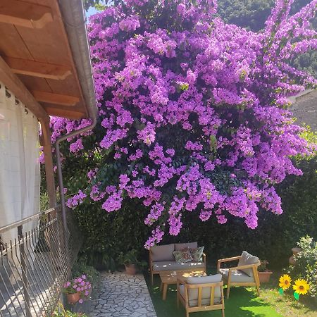 La Bouganville E Il Gelsomino Pietrasanta Luaran gambar