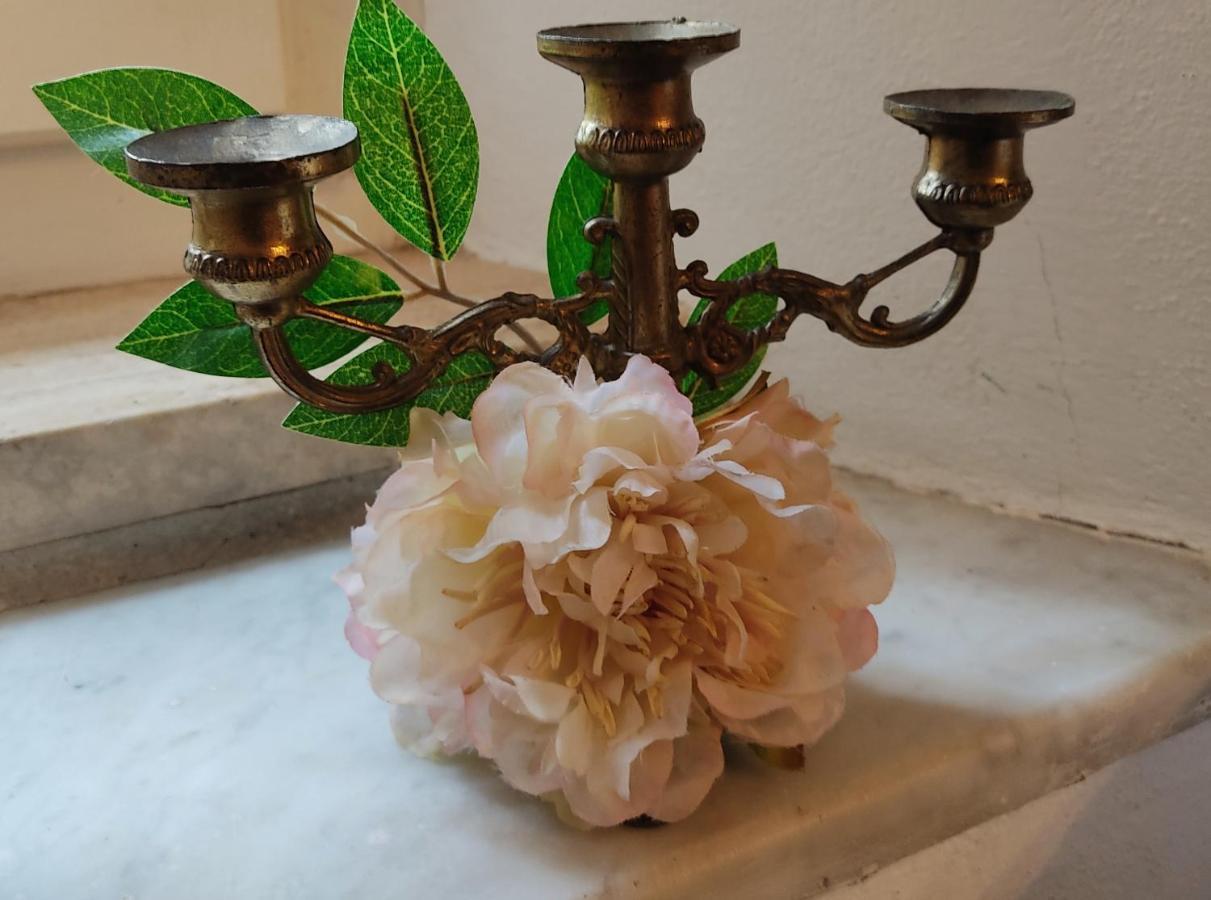 La Bouganville E Il Gelsomino Pietrasanta Luaran gambar