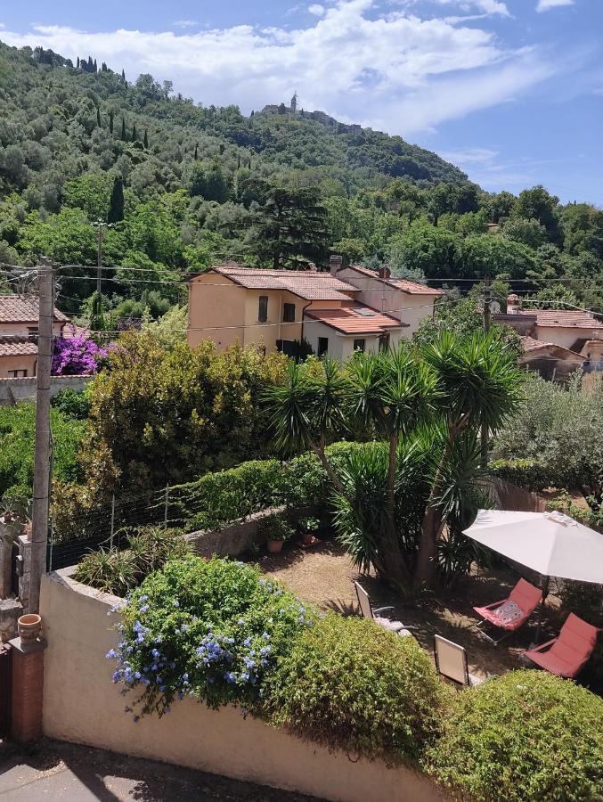 La Bouganville E Il Gelsomino Pietrasanta Luaran gambar