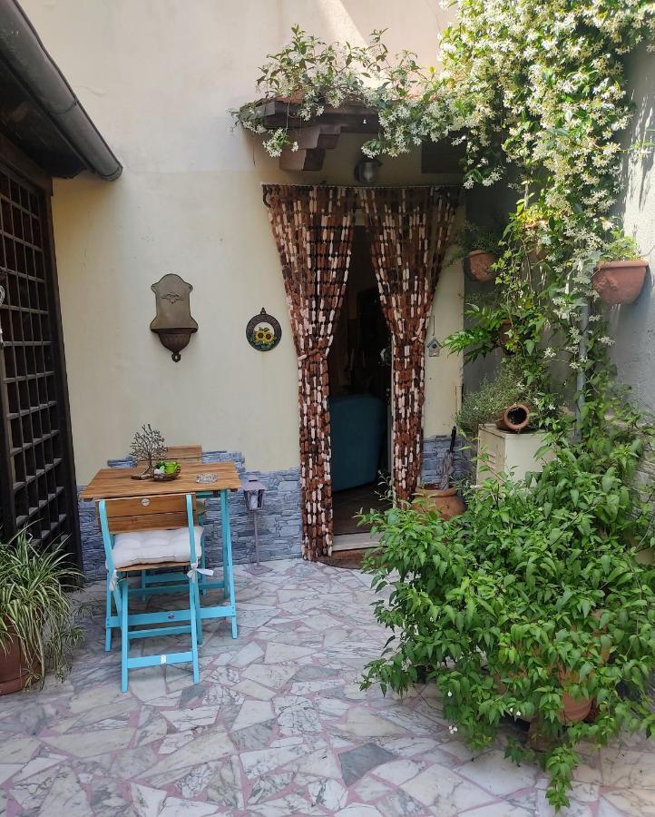 La Bouganville E Il Gelsomino Pietrasanta Luaran gambar
