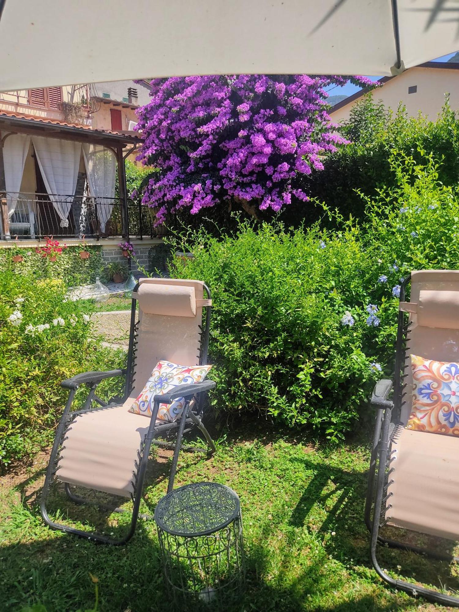 La Bouganville E Il Gelsomino Pietrasanta Luaran gambar